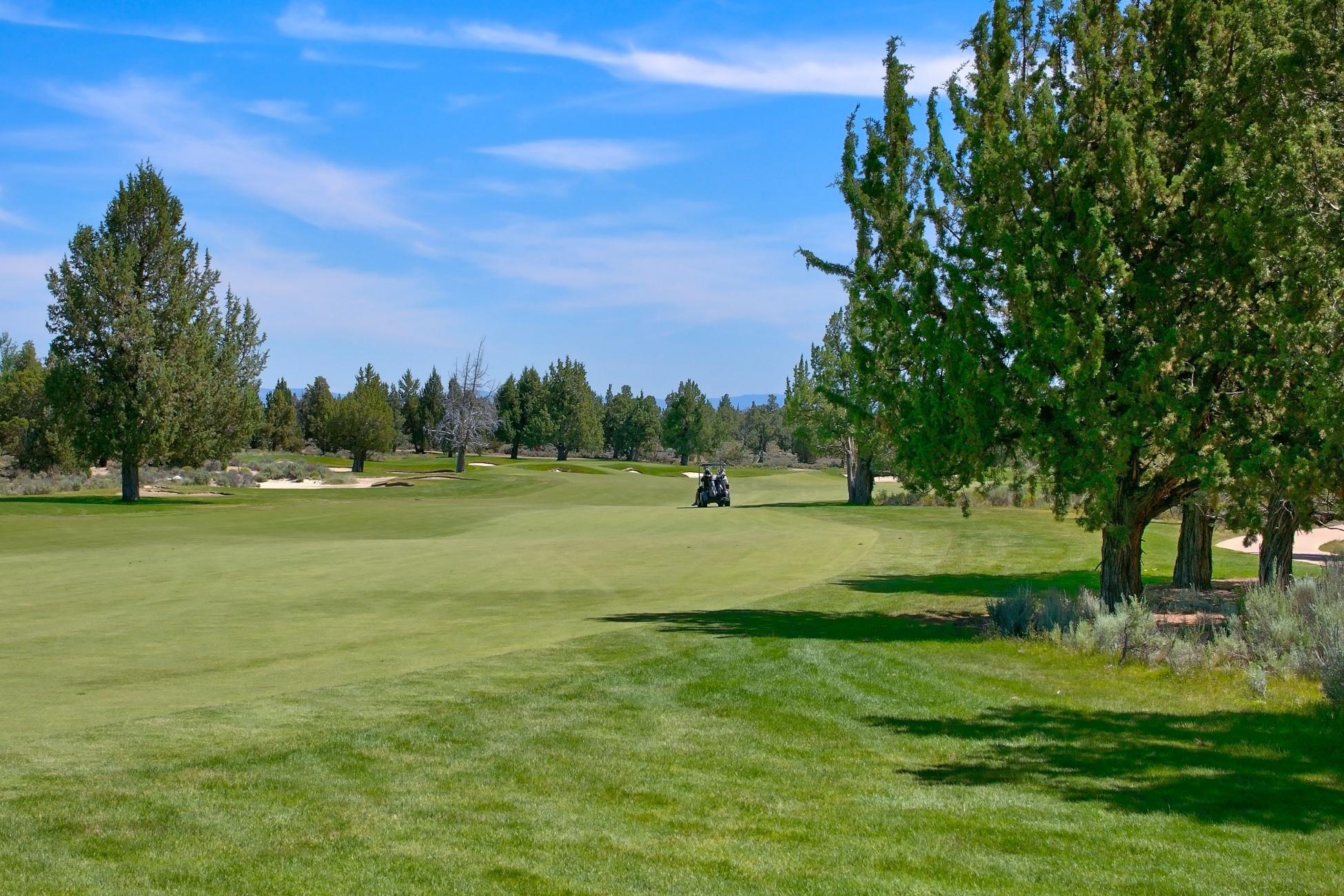 Pronghorn - Residential