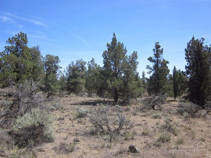 Nice flat 5 acre lot! Come build your dream home and enjoy all of the amenities that Crooked River Ranch has to offer! Including golf, swimming, tennis, Frisbee golf and fishing. Close to public land for horseback riding, hiking and exploring! A 10 minute drive to shopping and highway access.