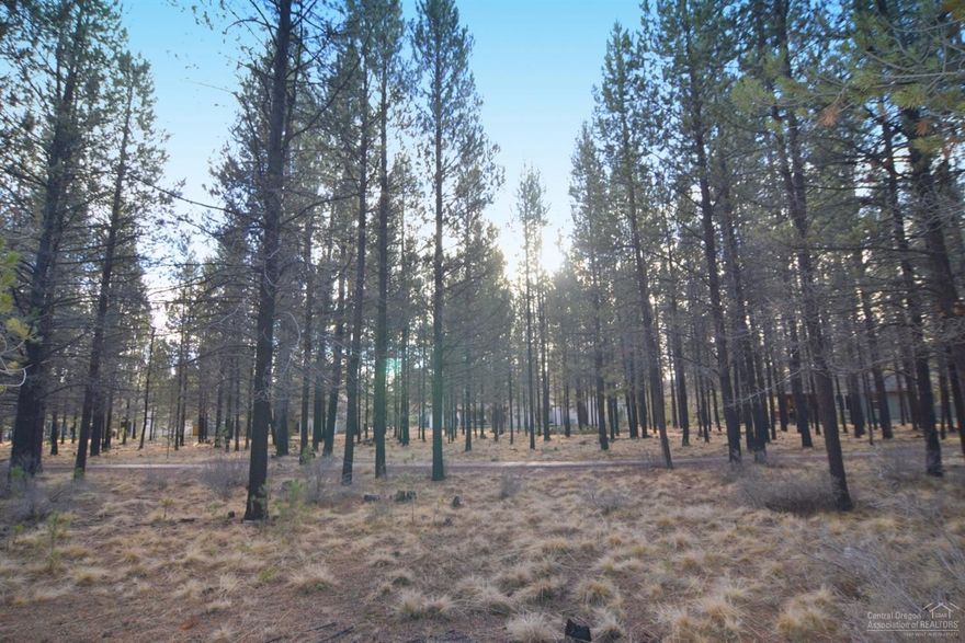 Look no further than this level, ready to build nicely treed lot in River Meadows, an established community along the banks of the Deschutes River. This 0.35 acre lot feels much larger as it backs up to generous common area that is maintained by the HOA. Nearby tennis courts, bike paths, swimming pool, boat launch and community center round out the offerings of this unique area. Call today for more details and start planning your dream home today!