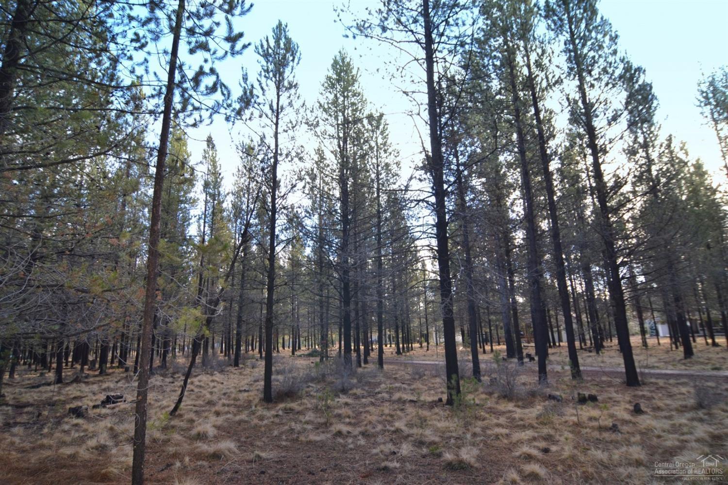 River Meadows - Land