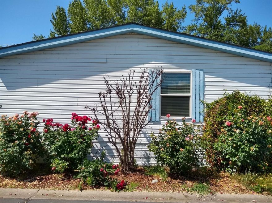 Enjoy this private yard with lots of trees, flowers and direct access to Bear Creek Walkway. No neighbors behind the unit. The three bedroom, 2 bath, open floor plan with vaulted ceilings makes the almost 1300 sf feel even bigger. Master has 3 windows overlooking back yard. All appliances included. Shed for extra storage. Sprinkler system.