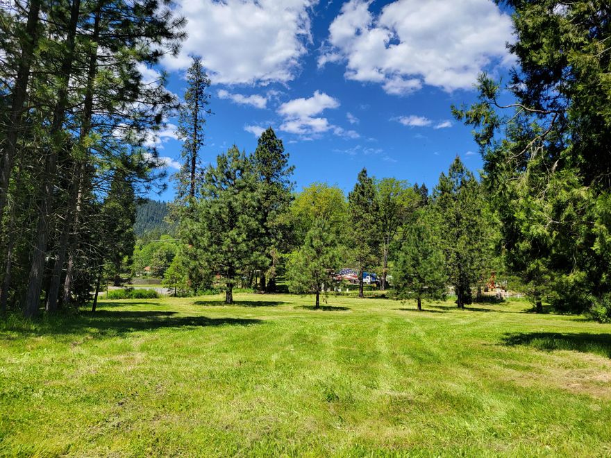 Level, buildable 0.92 acre lot in Azalea! Well installed, power available. Build your dream home or place manufactured home! Adjacent home on 4.5 acres also available.