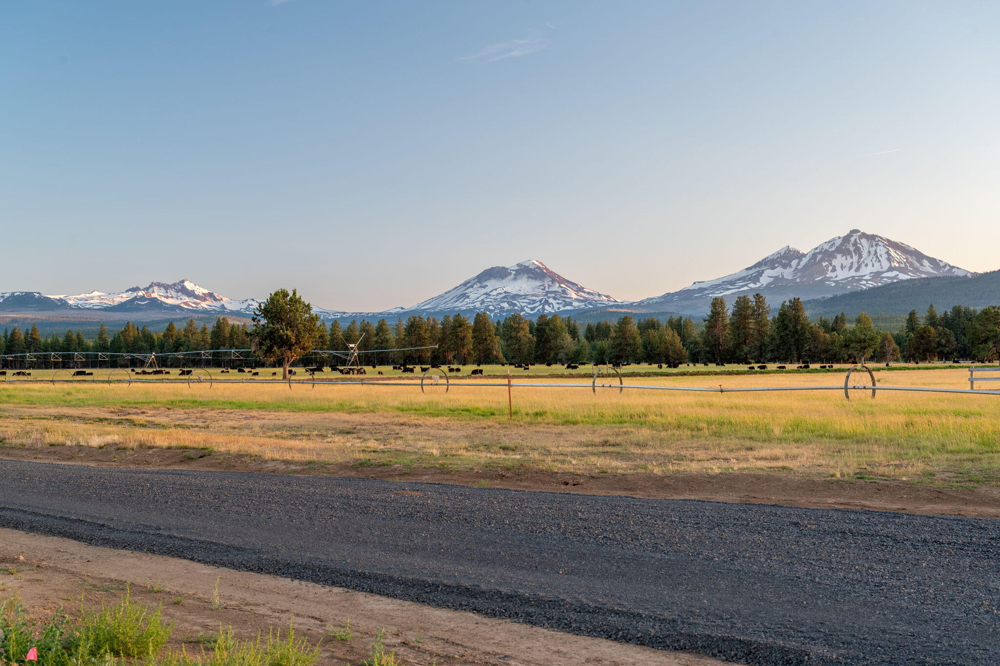 Pine Meadow Vill - Land