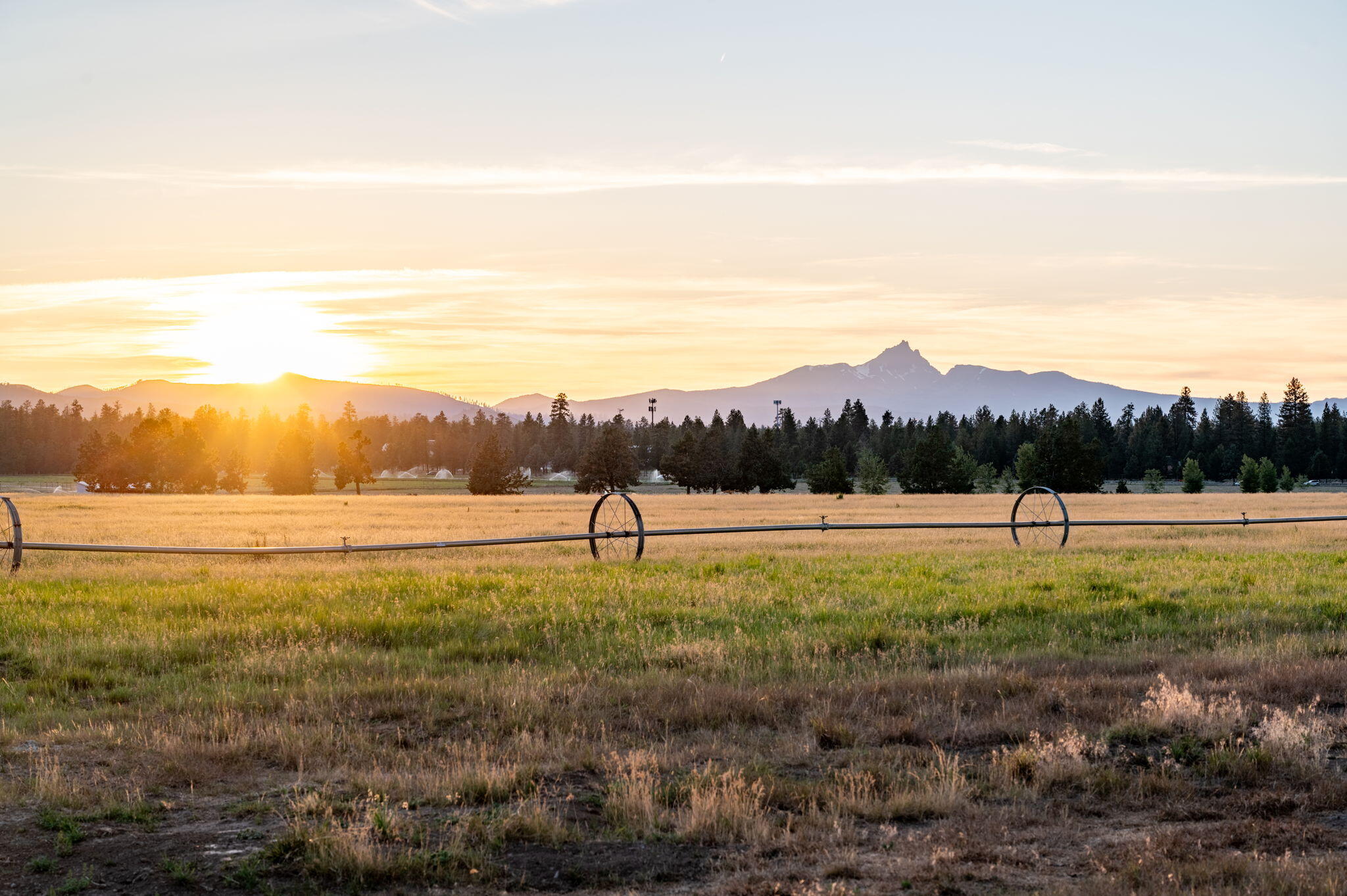 Pine Meadow Vill - Land