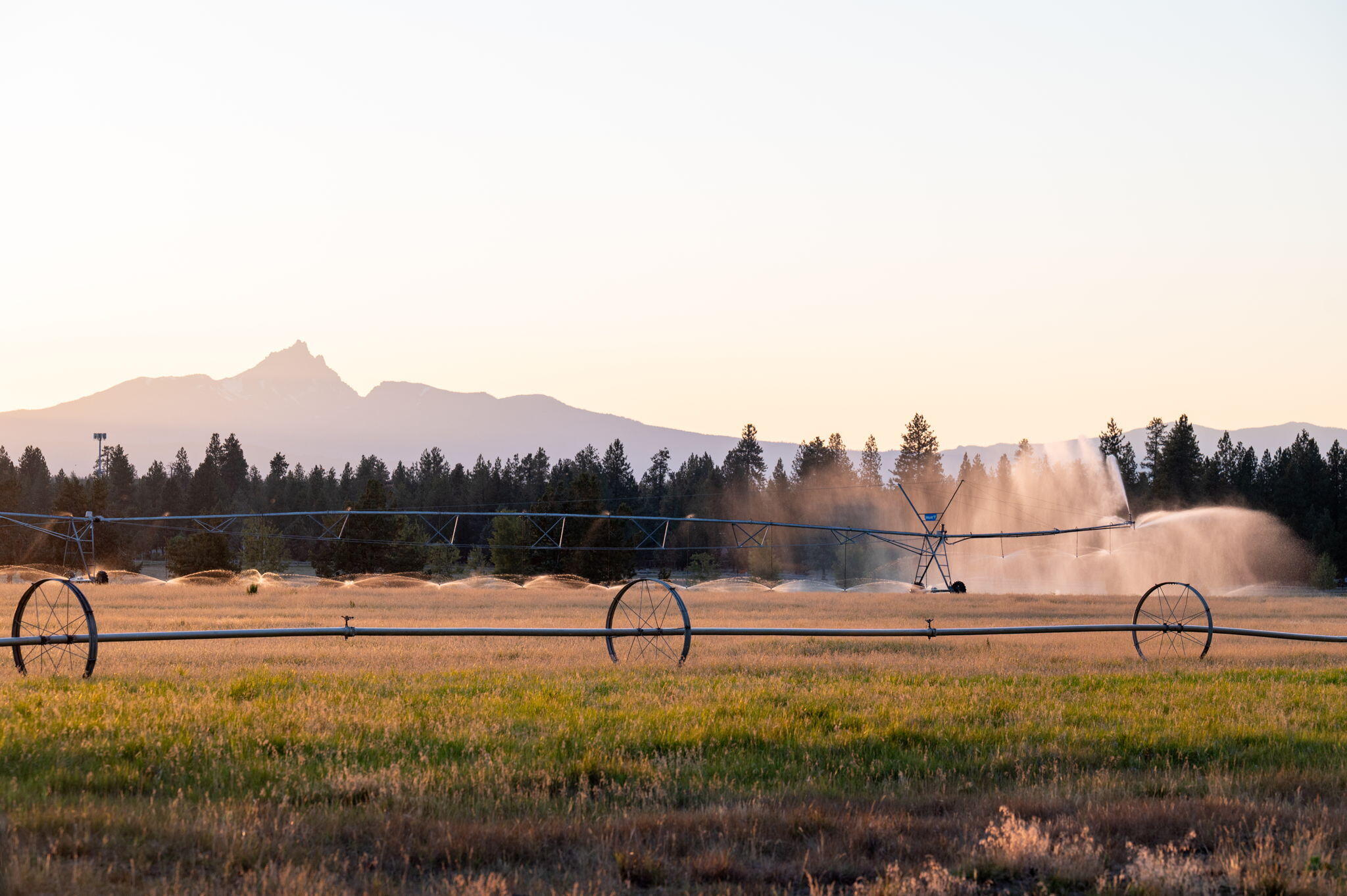 Pine Meadow Vill - Land