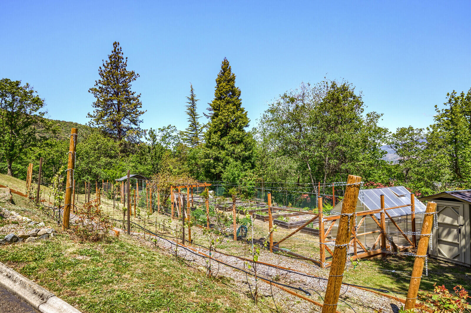 Viewpointe Terrace Subdivision - Residential