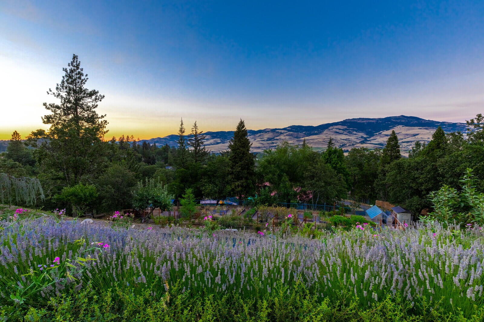 Viewpointe Terrace Subdivision - Residential