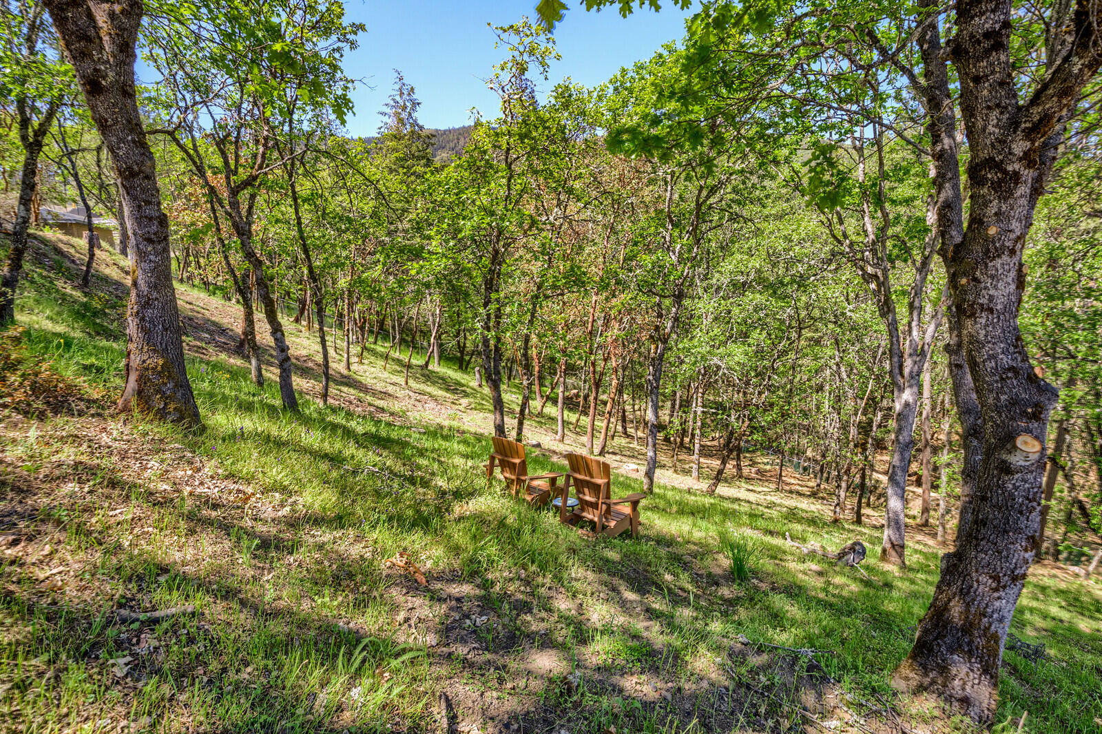 Viewpointe Terrace Subdivision - Residential