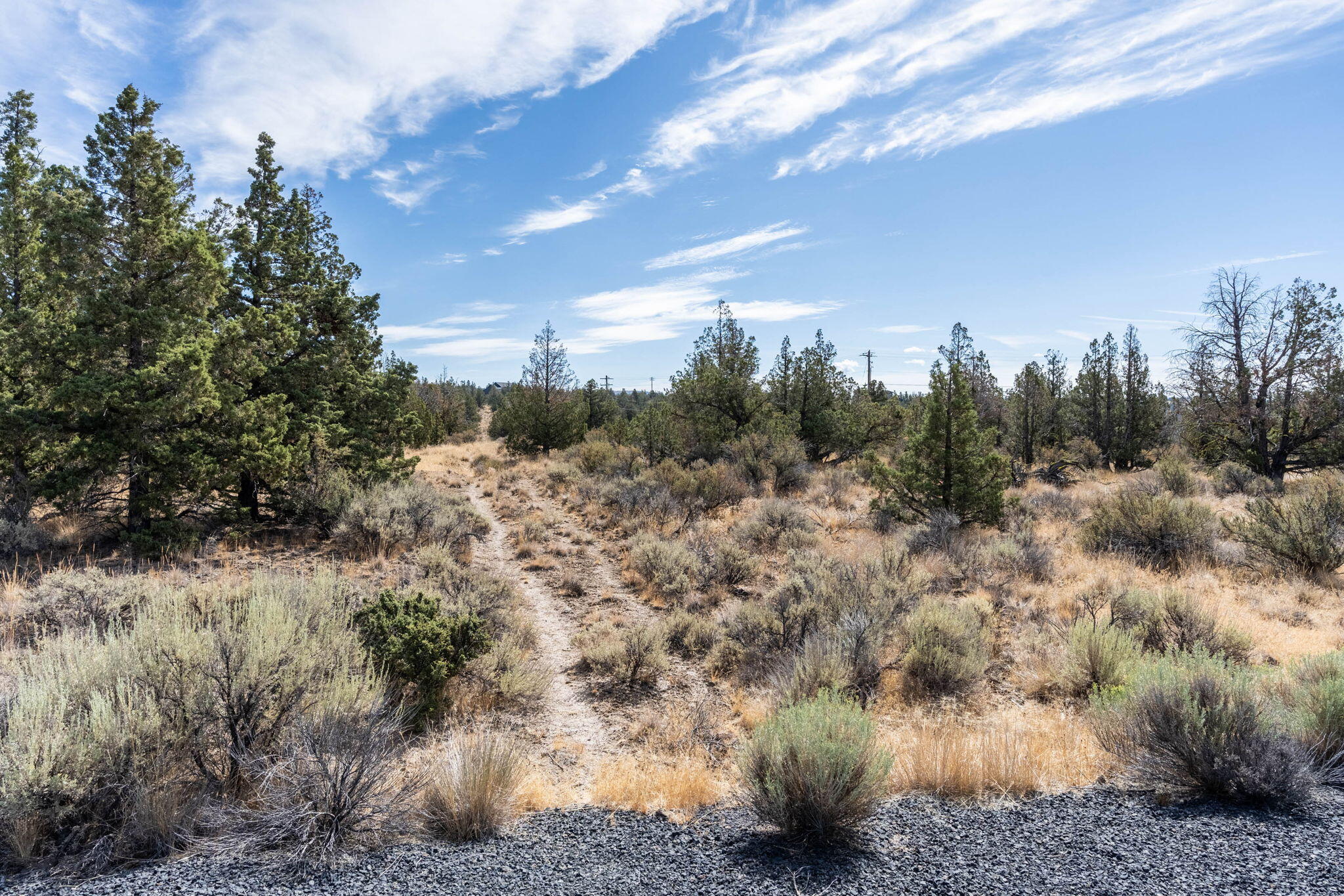 Longhorn Ridge - Land