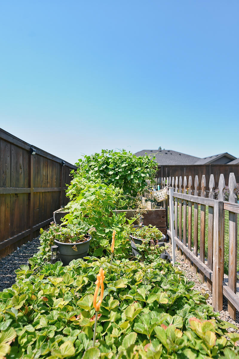 Echoes Of The Ponderosa Subdivision Phases 2And 3 - Residential