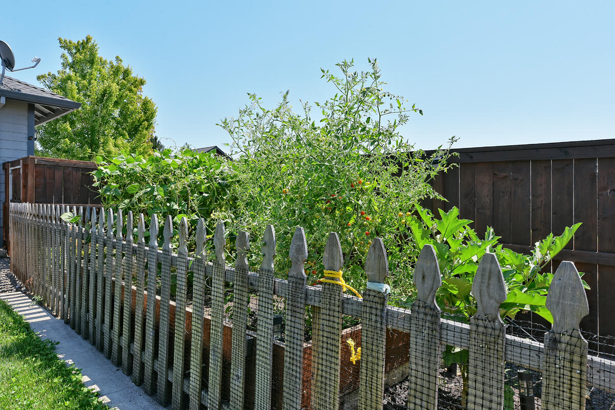 Echoes Of The Ponderosa Subdivision Phases 2And 3 - Residential