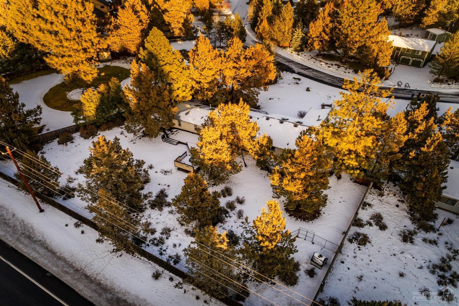 Kings Forest - Residential