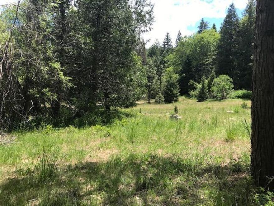 Sweet wooded acreage on both sides of Colestin Rd with cute studio building. Year round creek setting and so much more! Developed spring, septic and power are in! Remove old mobile and build your dream house or bring in new mobile to have a great home site. Railroad is along back property boundary.