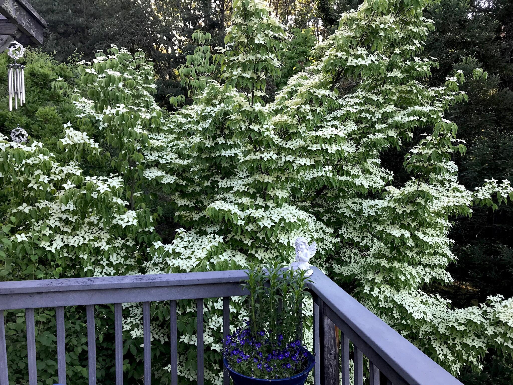 Sky Crest Heights Subdivision - Residential