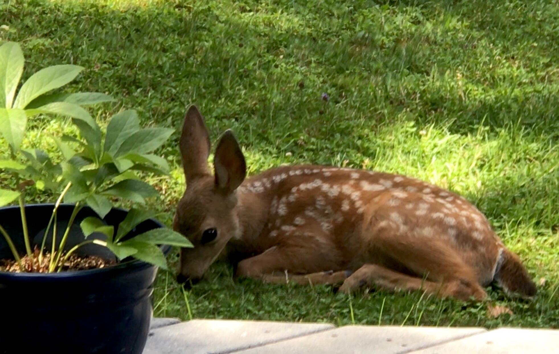 Sky Crest Heights Subdivision - Residential