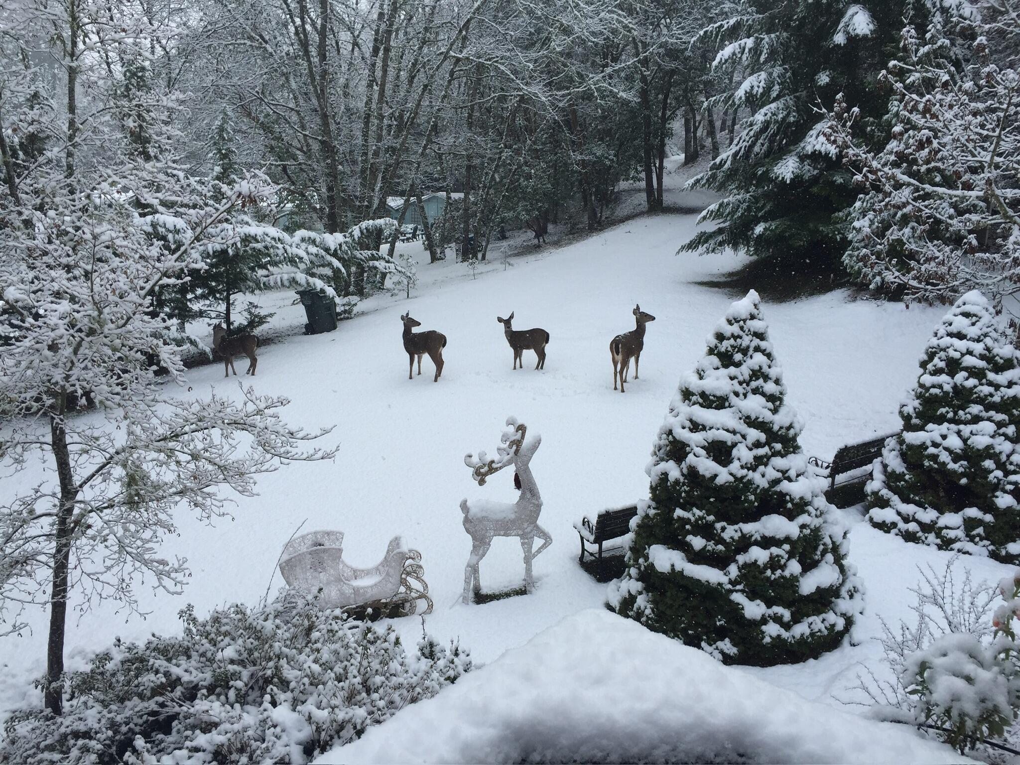 Sky Crest Heights Subdivision - Residential