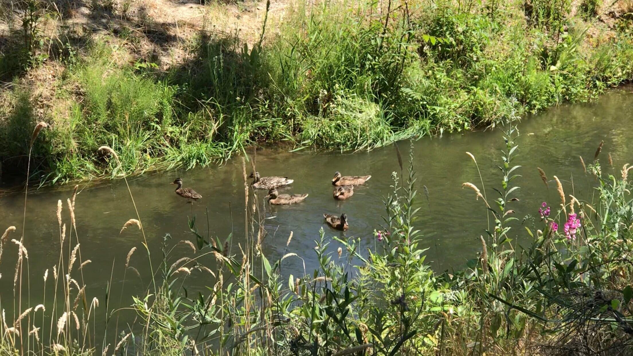 Sky Crest Heights Subdivision - Residential