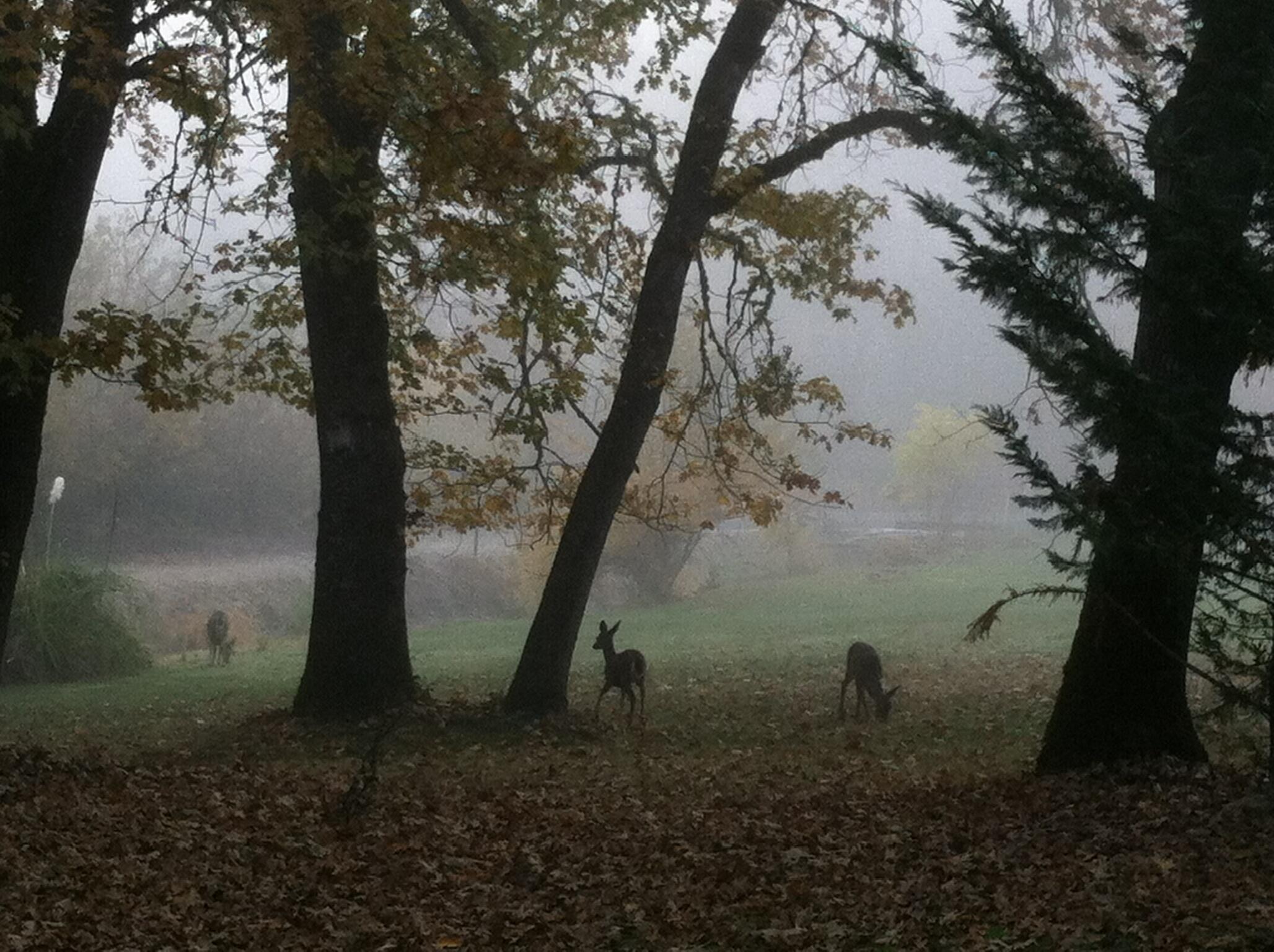 Sky Crest Heights Subdivision - Residential