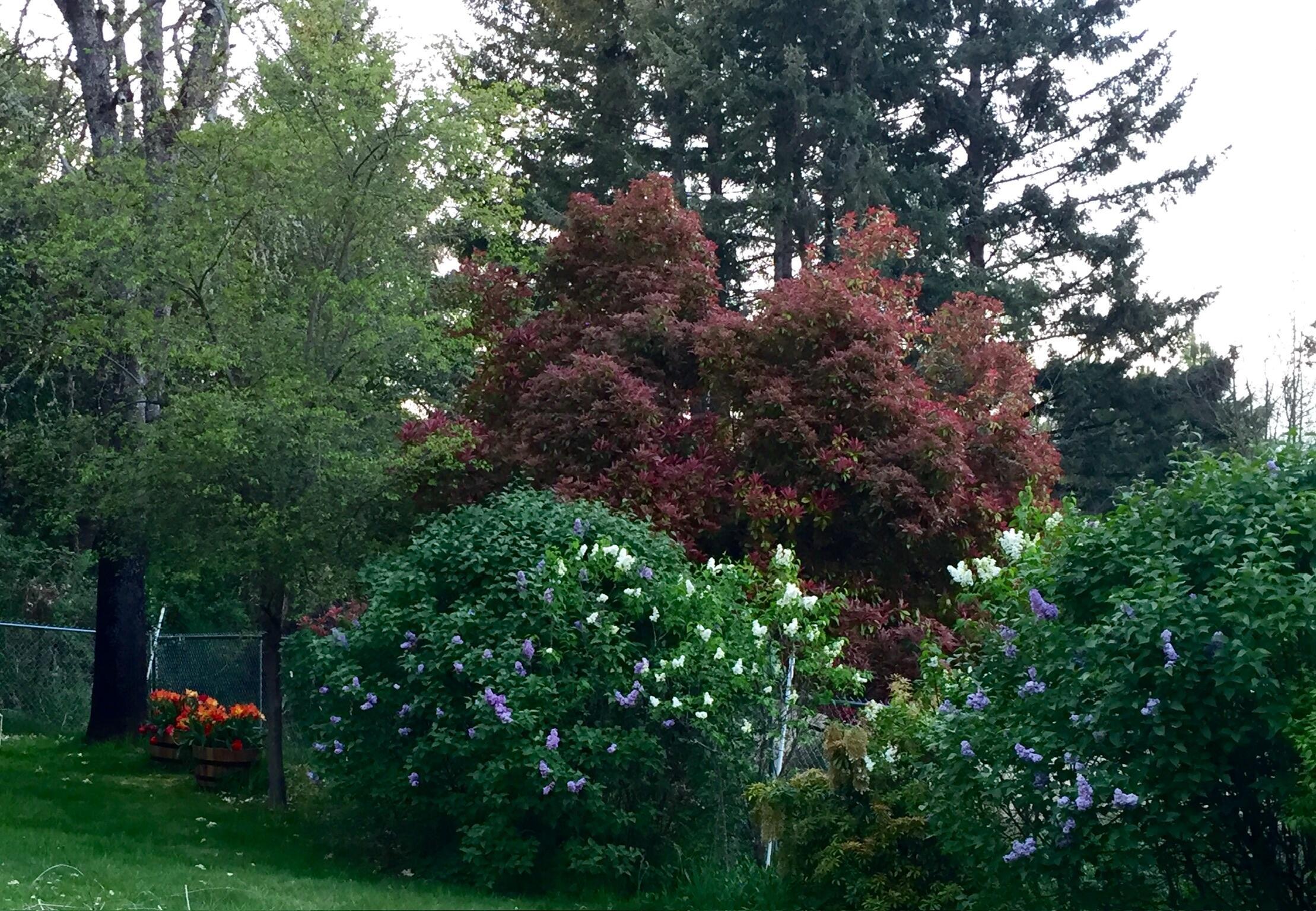 Sky Crest Heights Subdivision - Residential