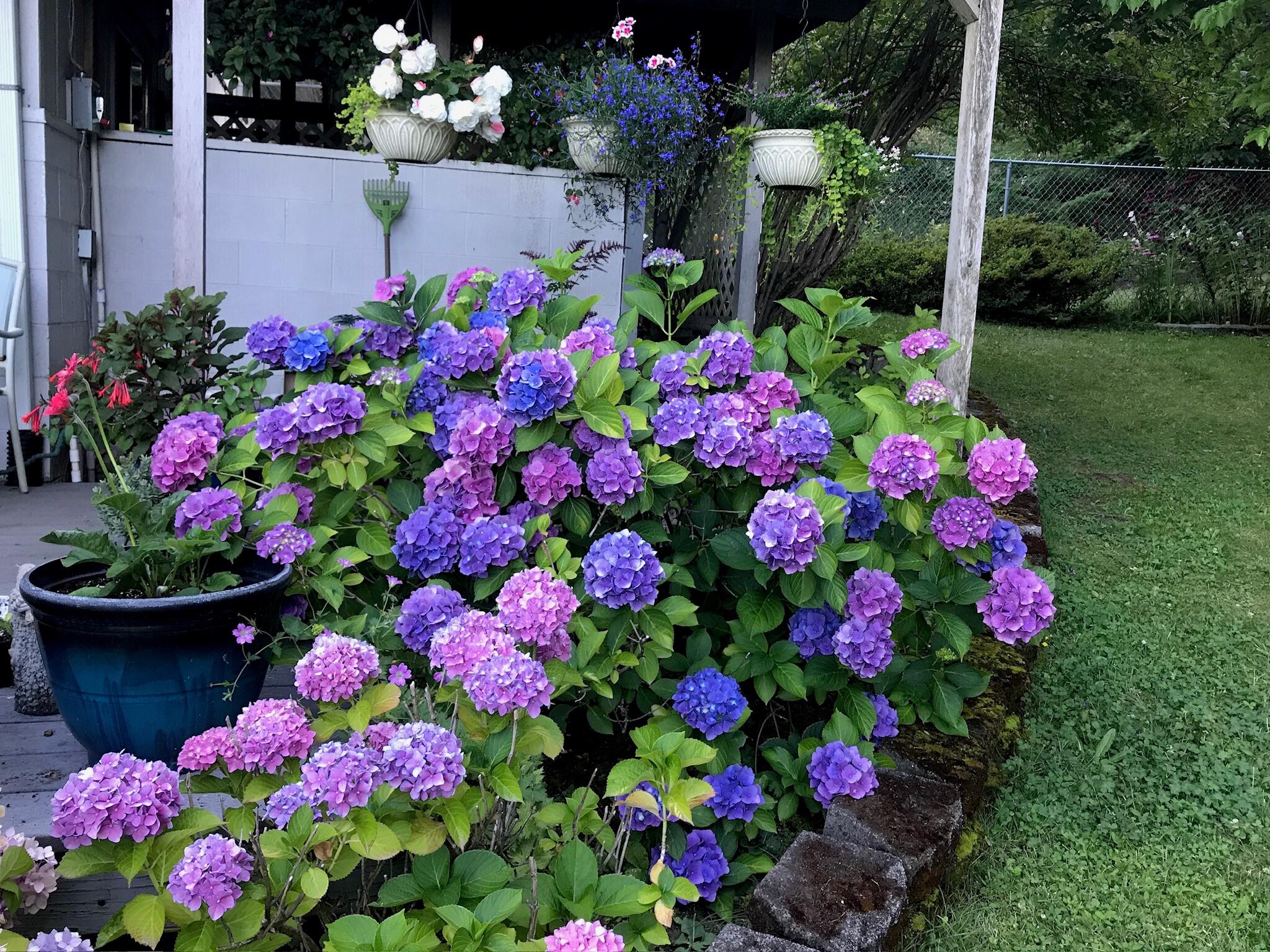 Sky Crest Heights Subdivision - Residential