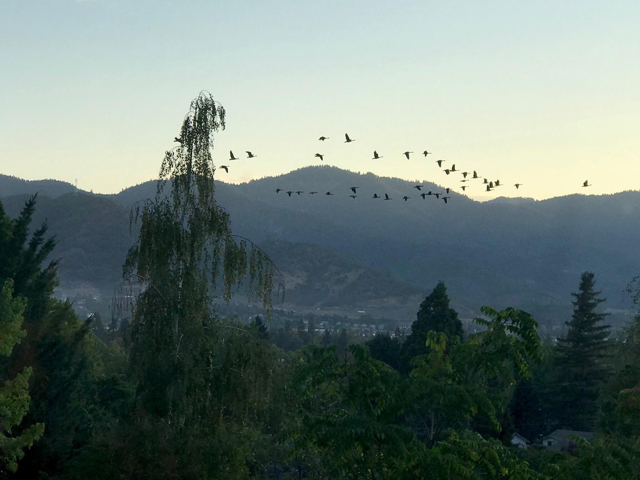 Sky Crest Heights Subdivision - Residential