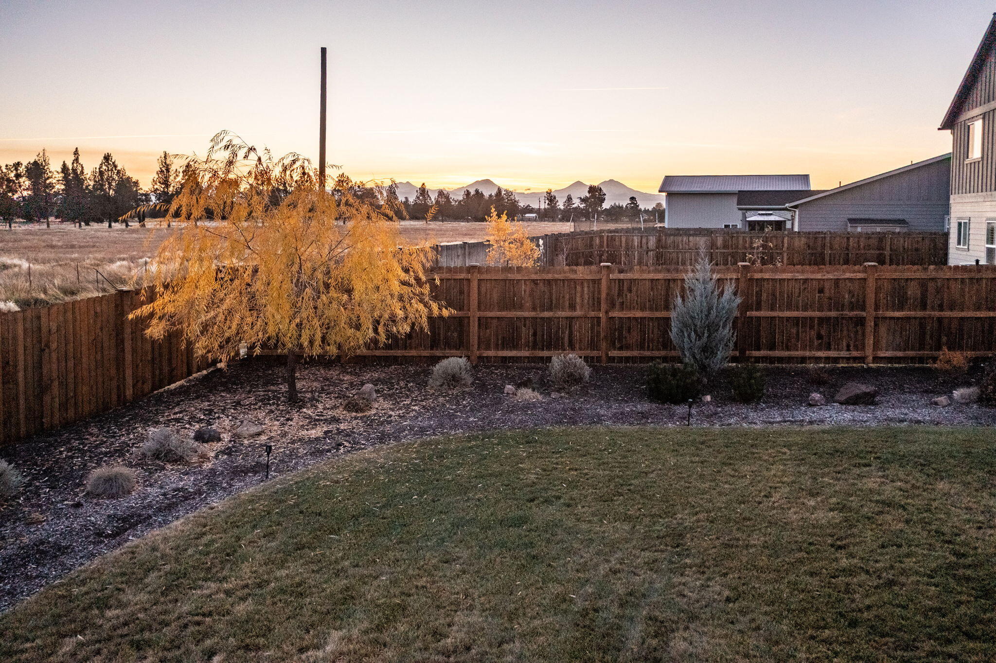 Josie Meadows - Residential