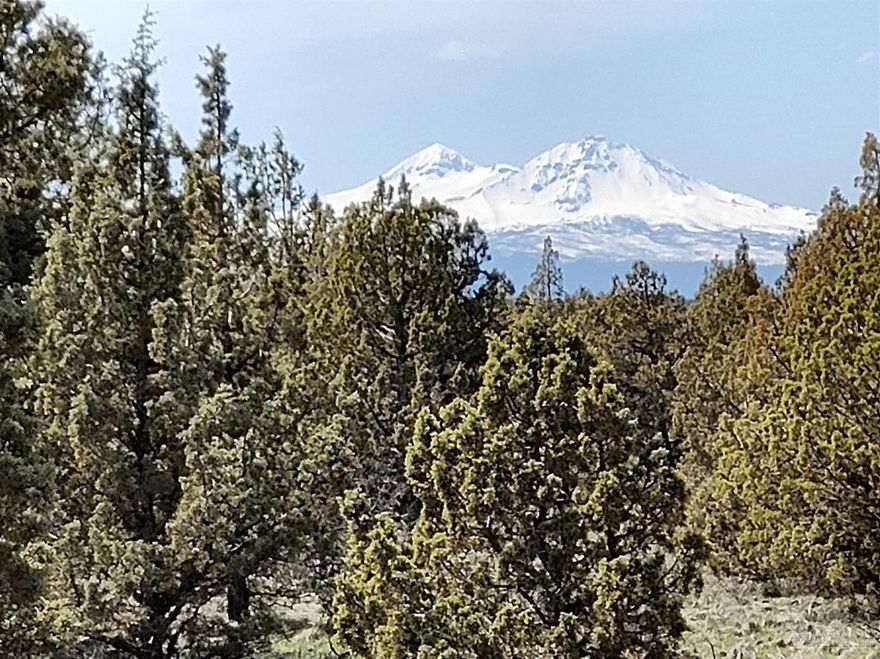 PRIVACY and VIEWS!! Well treed 10 Acres with Cascade Mountain & Smith Rock views! Well depths are approximately 250-350 feet deep with a yield of 30 gallons plus per minute! Protective CCR's in place for easy livability and conformity. Horses & livestock okay. BLM land is just down the road - ride for miles & miles with no horse trailer necessary. Must see this beautiful property to fully appreciate. Don't delay, start building today. Property sold As Is.