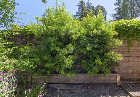 Tiny photo for 1325 NW Lawnridge Avenue, Grants Pass, OR 97526 (MLS # 220222893)