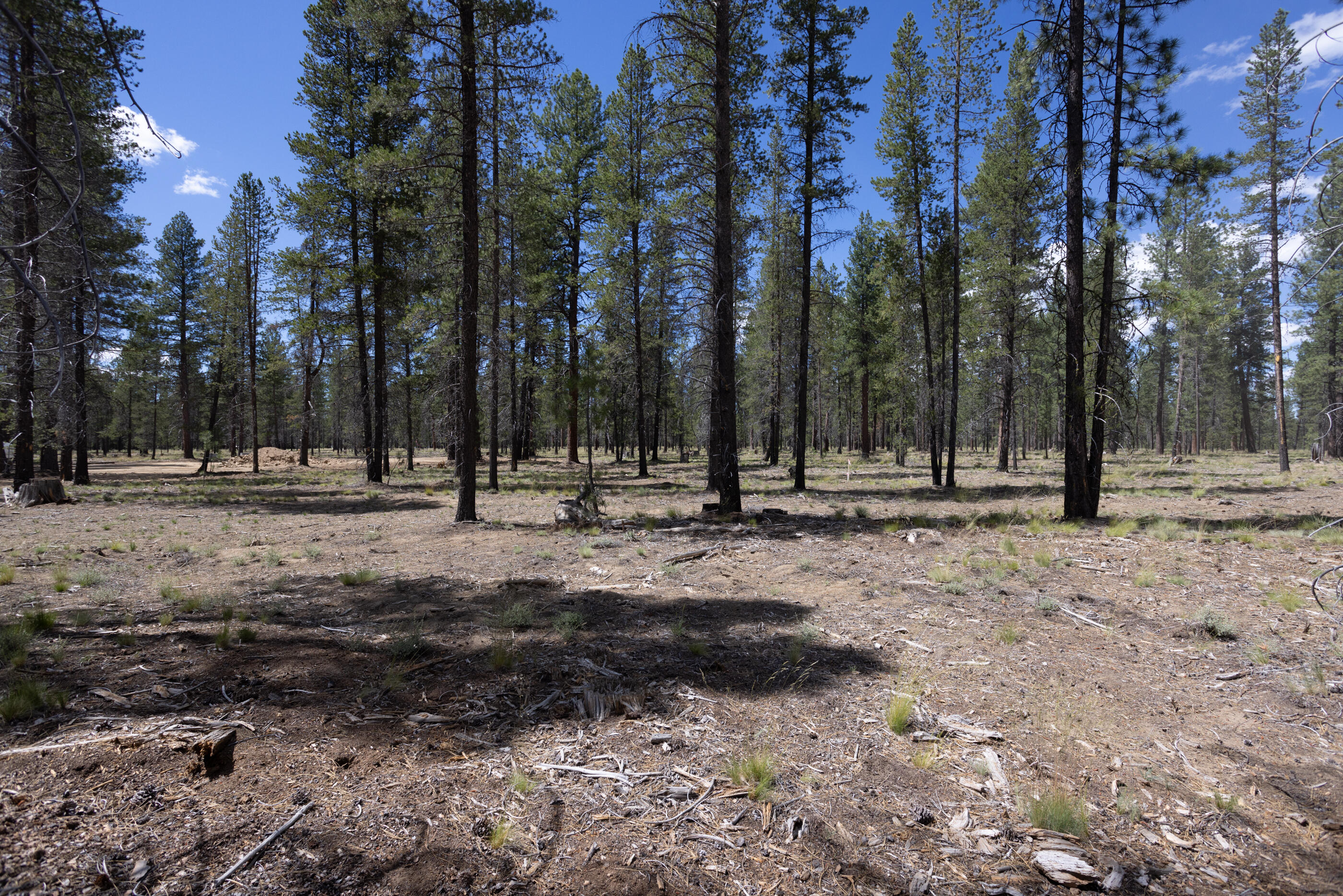 Caldera Springs - Land