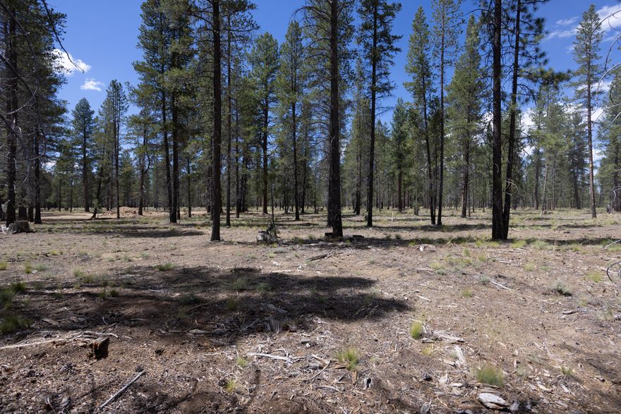 Ideally located near the future Preservation Park. Backing to common area, this homesite provides a serene setting for your dream home. The new mountain modern amenity center, Foresthouse, is now complete and open year round. Enjoy fine waterfront dining at the new Lake House restaurant. Your opportunity awaits to experience the Caldera Springs lifestyle as an owner and enjoy special access to golf, fitness, pickle ball, tennis, pools, kayaks & paddle boards, lakes, water features & streams, parks, trails. Caldera Springs is located near Sunriver, just 15 minutes to Bend and 30 minutes to epic skiing at Mt. Bachelor.