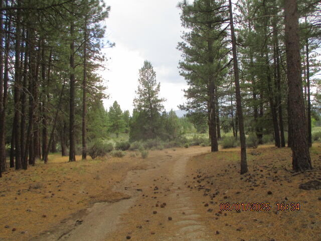 Chiloquin Acres - Residential