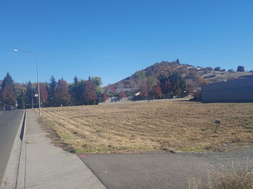 Prime commercial lot in Phoenix. Close to I-5 interchange. Neighbors include Petro Shopping Center, America;s Best Hotel, and Storage at Exit 24 complex.