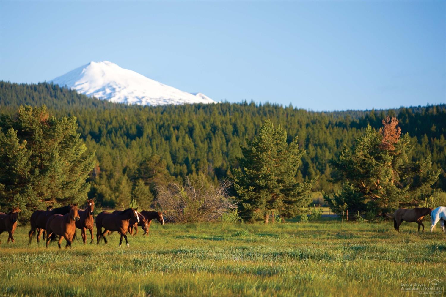 Mtn Village West - Land