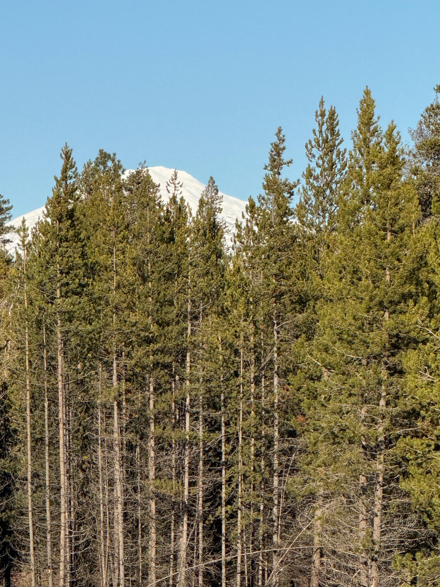 17235 S Century Drive