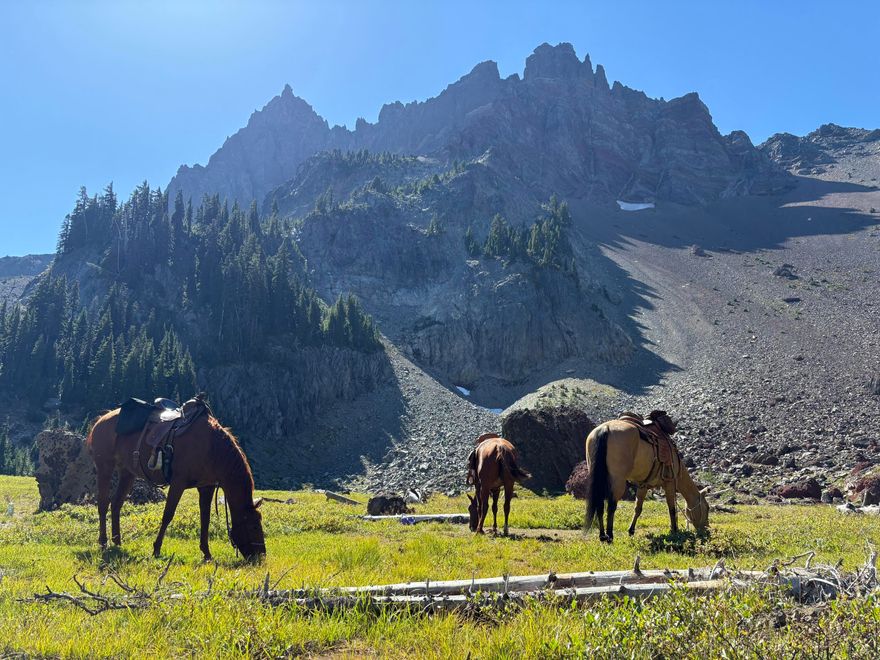 Bring your horses and live the Western dream on nearly 10 acres in Central Oregon. Ride straight from your barn onto miles of scenic trails, or train at home in the 120' x 205' arena with pit run sand footing, 60' round pen, and five oversized stalls (12' x 24'). Just minutes from Sunriver and close to top equestrian events, this property blends function with freedom. The updated home features a spacious great room, modern kitchen, three new decks, and a private lower-level primary suite. Bonus bunkhouse, fresh paint, and new flooring throughout. Short drive to Mt. Bachelor for downhill and Nordic skiing, with endless snowmobiling and cross-country trails nearby. Saddle up or gear up—this is the lifestyle you've been waiting for!