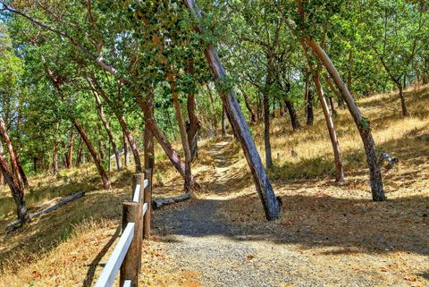 Tiny photo for 330 E Fir Street, Jacksonville, OR 97530 (MLS # 220214805)