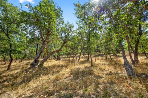 Tiny photo for 330 E Fir Street, Jacksonville, OR 97530 (MLS # 220214805)