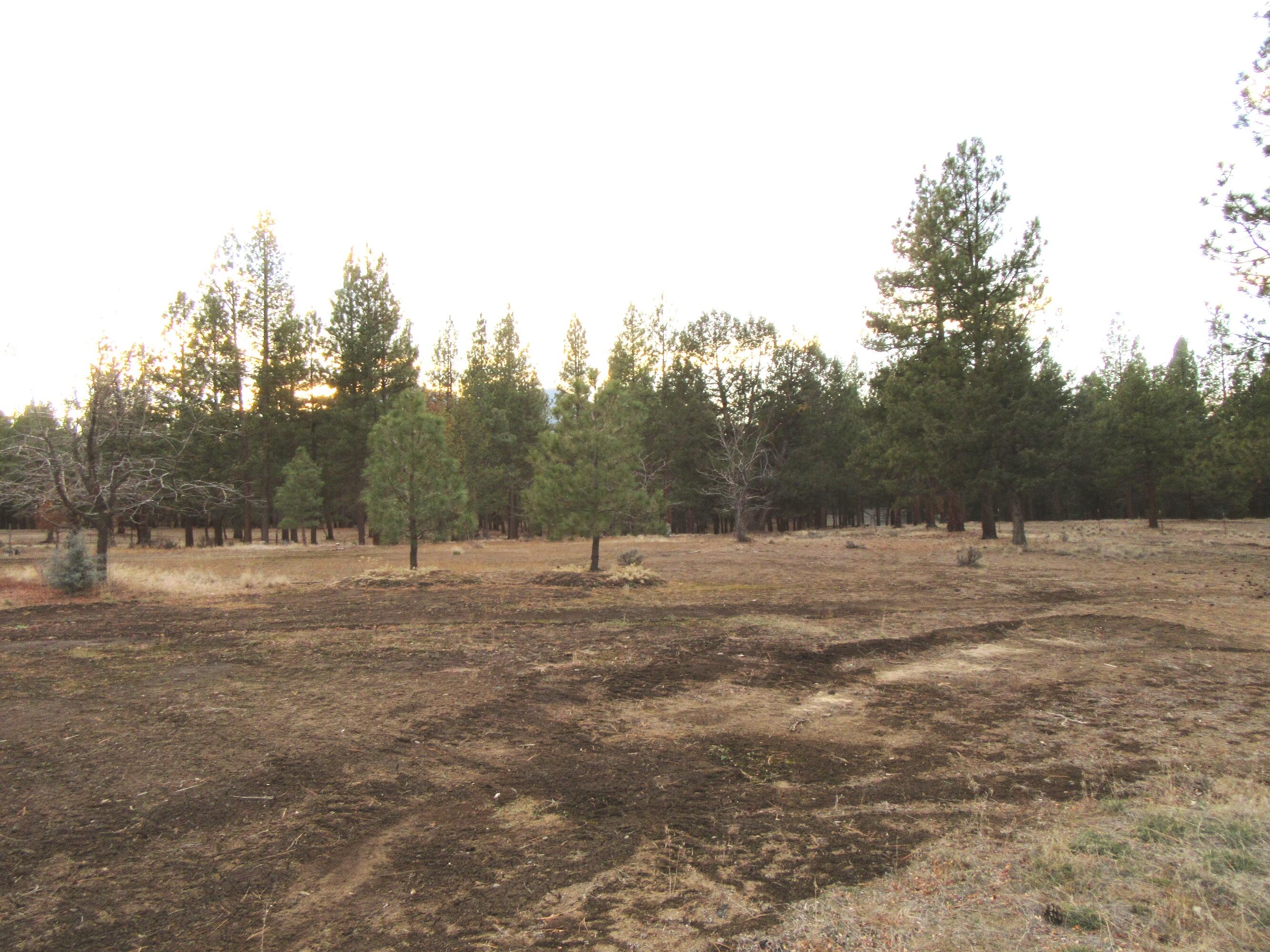 Chiloquin Acres - Residential