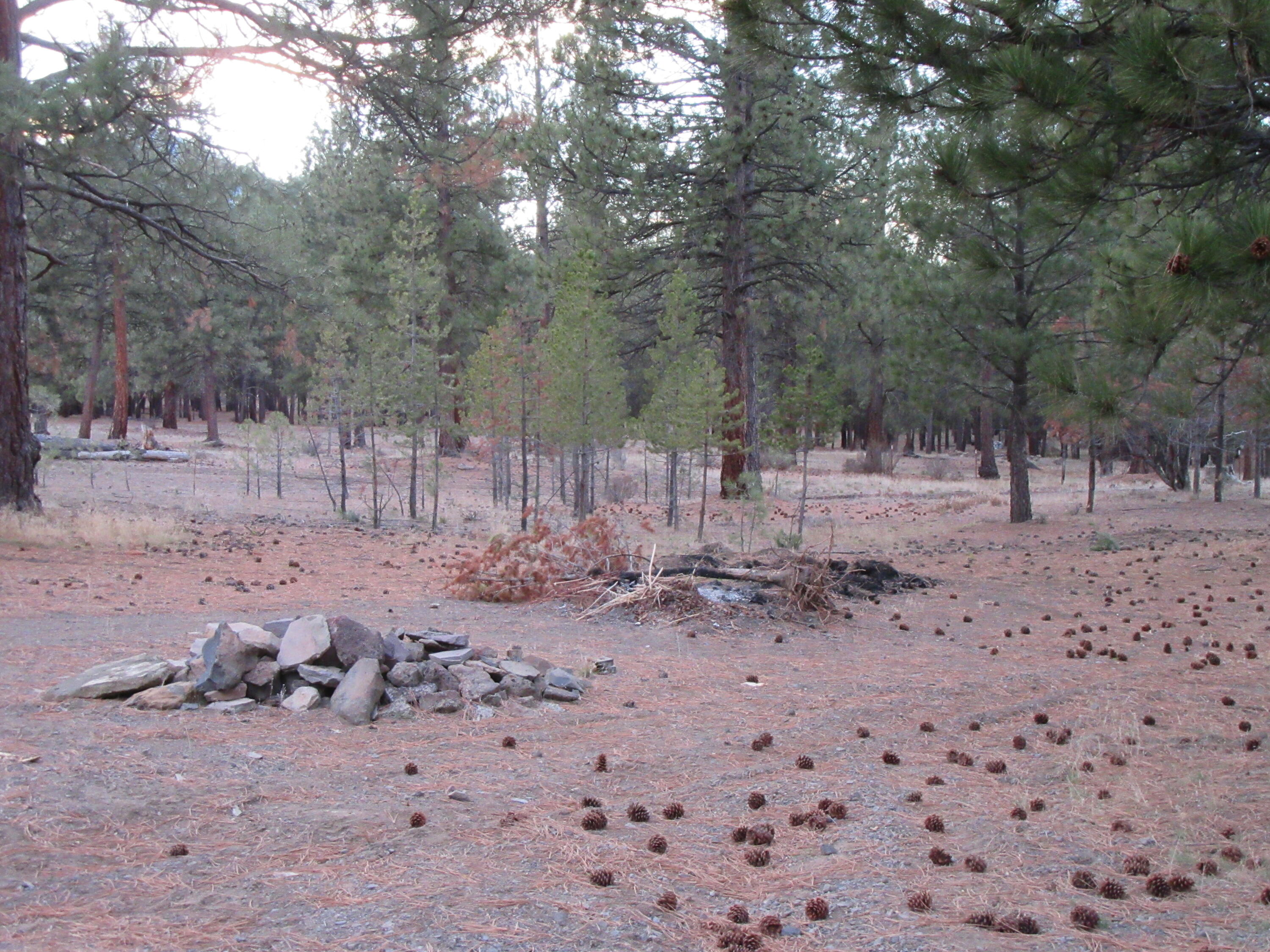 Chiloquin Acres - Residential