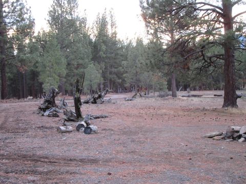 Tiny photo for 16144 Sprague River Road, Chiloquin, OR 97624 (MLS # 220212983)