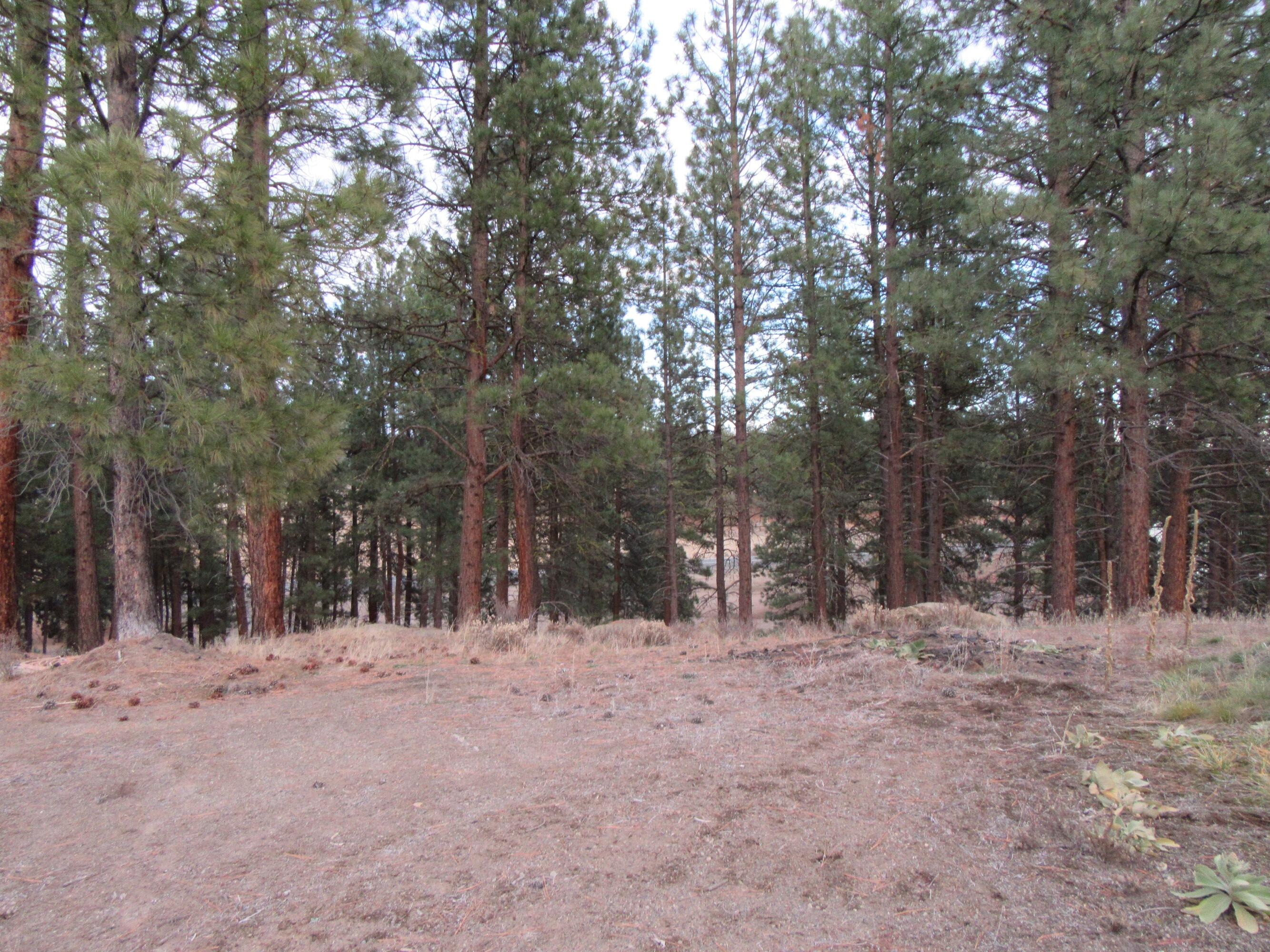 Chiloquin Acres - Residential