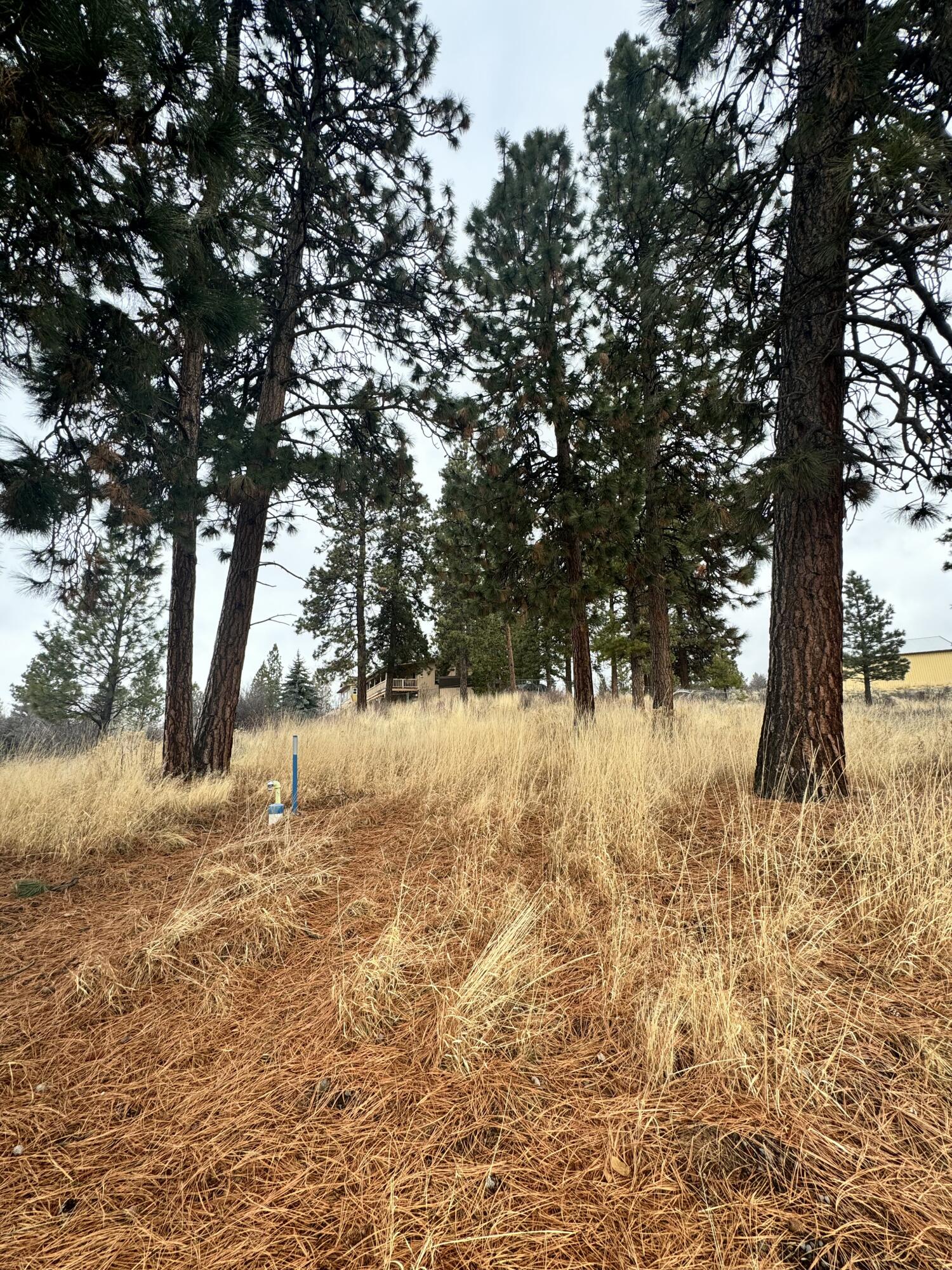 Oregon Shores -Unit 2-First Addition - Land