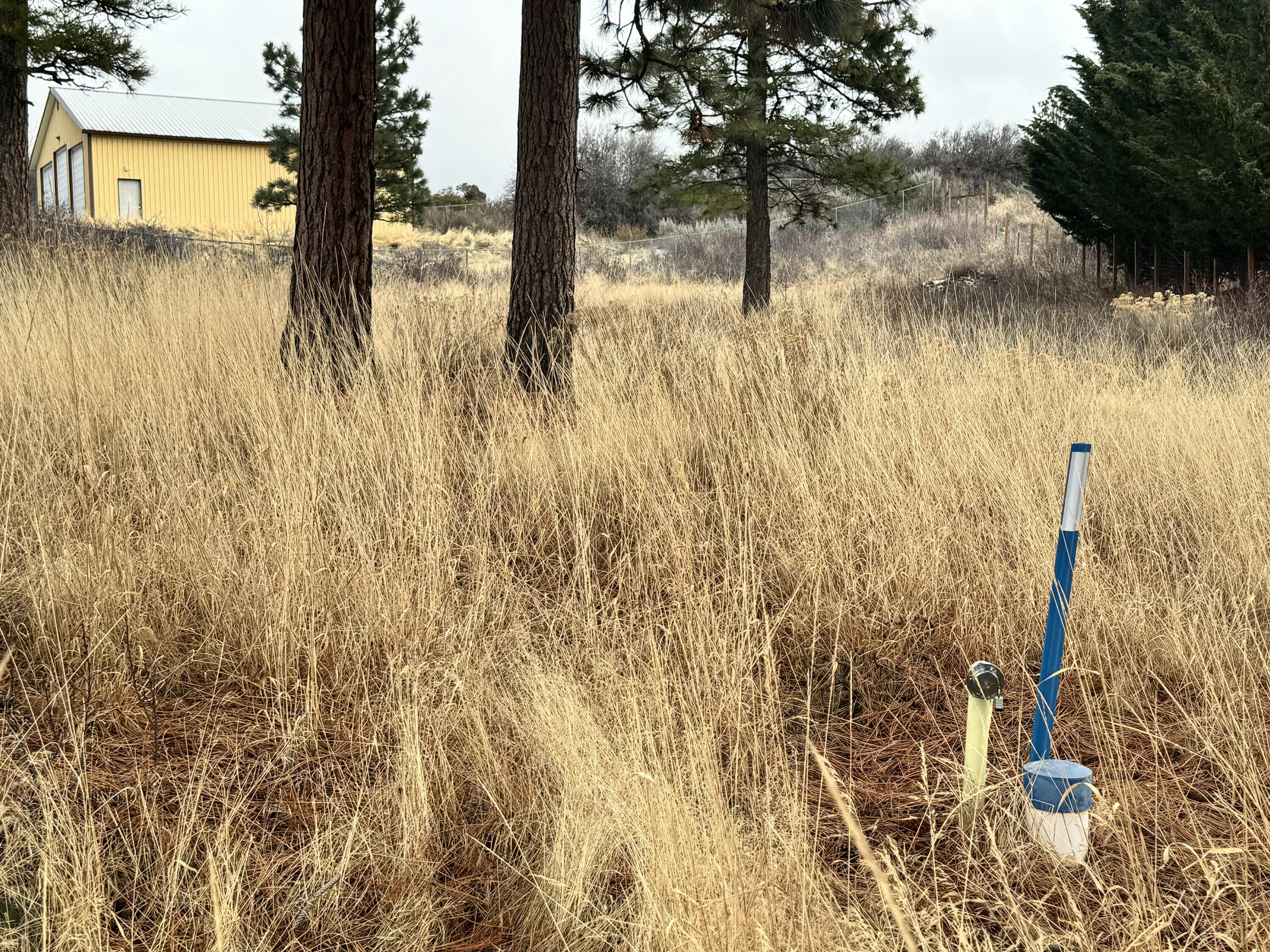 Oregon Shores -Unit 2-First Addition - Land