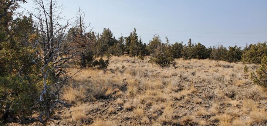 Beautiful 1.8 acres with gorgeous views. Mostly flat and well treed. This would be a great lot to build. Close to BLM and Prineville Reservoir. Could this be the place for your dream home?