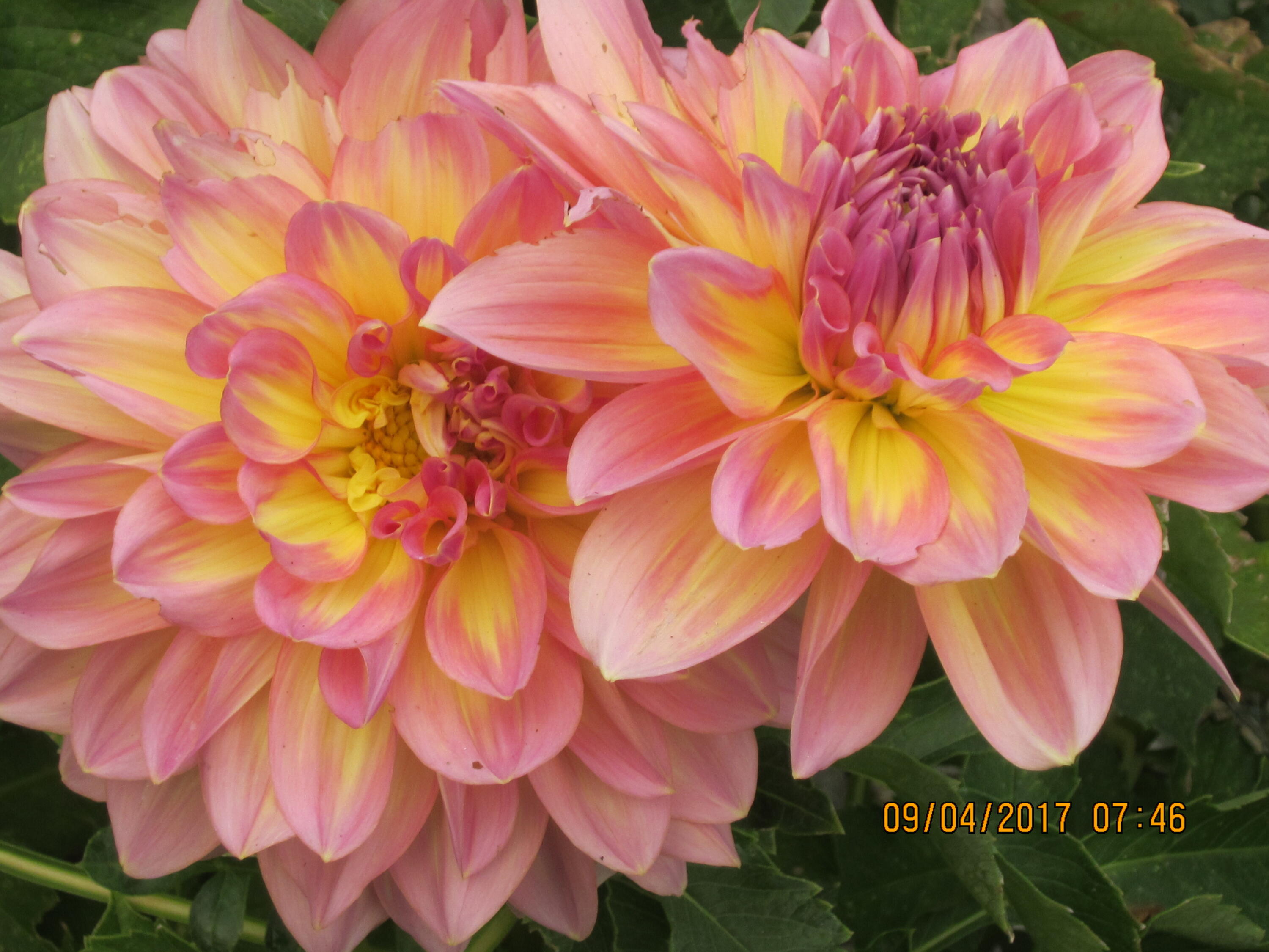 View West Subdivision - Residential