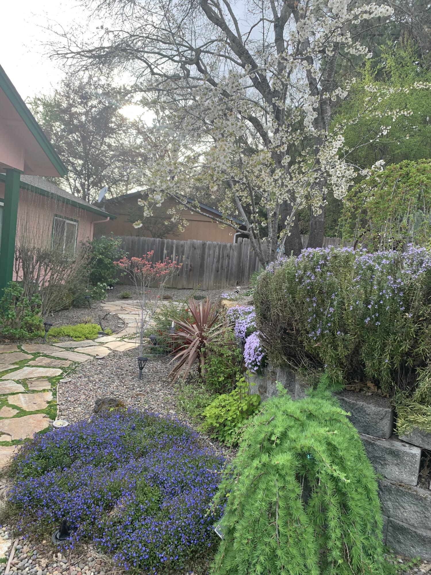 Dekums Amended Addition - Residential