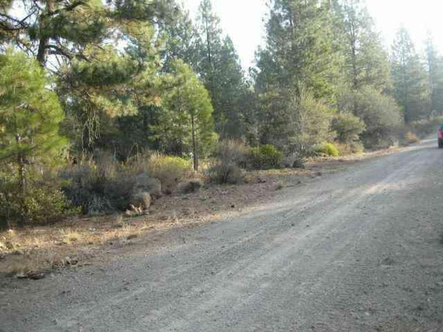 You Can Call This Parcel Your Own For A Very Modest Price And Build Your Dream Home Among The Pines. Trailer Of No Value. Owner Financing Available.