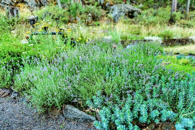 Woodriver Village - Residential