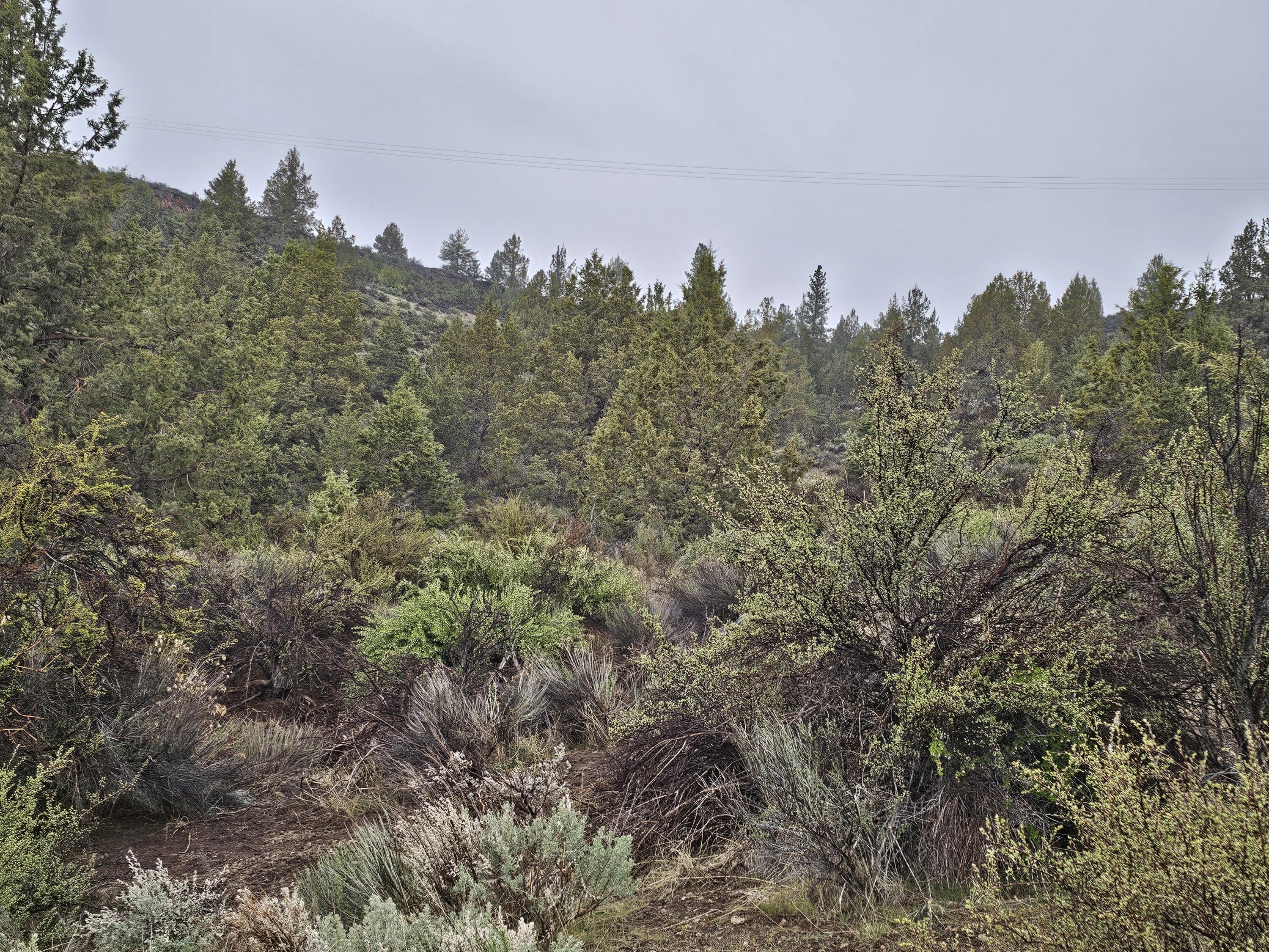 Nimrod River Park - Land