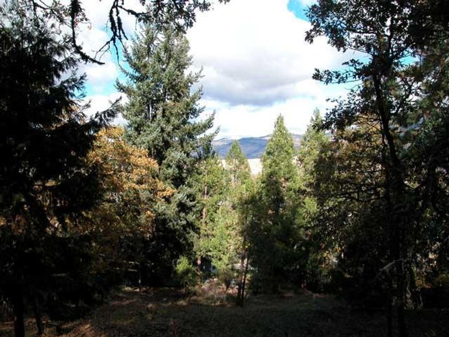 Right above the Oregon Shakespeare Festival and all that downtown Ashland has to offer. Beautiful .39 acre lightly wooded building lot that will offer gorgeous views from your new home. Fantastic location and an incredible area for walking and running above and through Lithia Park. From Glenview a few steps will take you onto the lot where you can enjoy the beautiful setting and imagine your home. City utilities are available. This is 2 tax lots that are also available separately. See MLS #2926209 and #2929200.